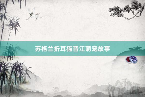 苏格兰折耳猫晋江萌宠故事