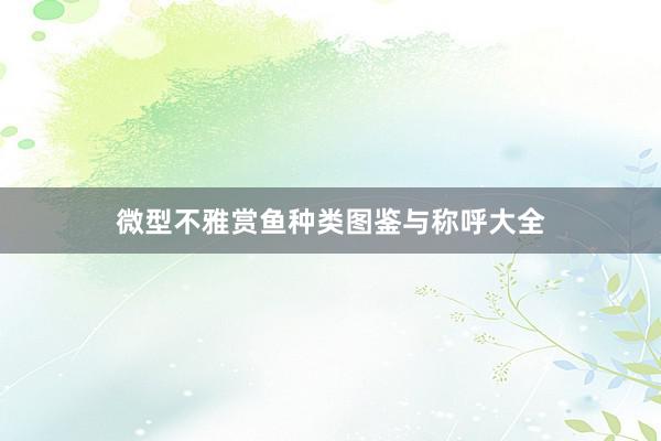 微型不雅赏鱼种类图鉴与称呼大全